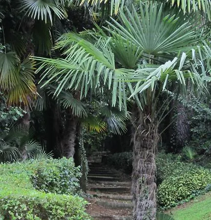 San Vigilio Apartment Garda (Verona)